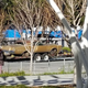 Illustration for article titled San Jose DOTS, Silicon Valley Auto Show day 1 and Sylvie
